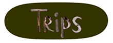 Trips