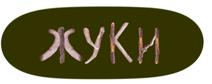 Жуки